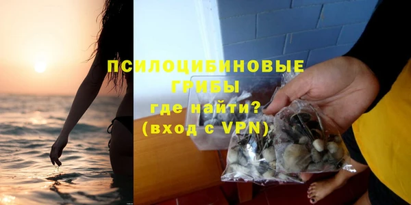spice Корсаков