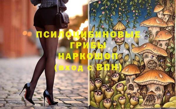 прущие грибы Костерёво