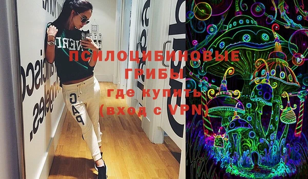 прущие грибы Костерёво