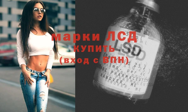 прущие грибы Костерёво