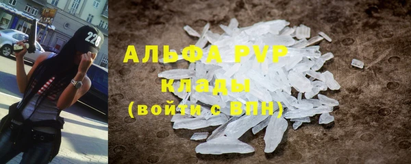 прущие грибы Костерёво