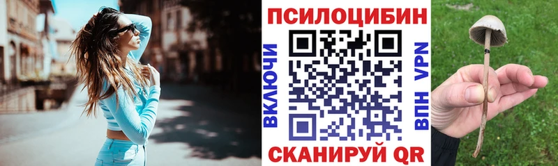Купить где  Курильск  Галлюциногенные грибы Cubensis 